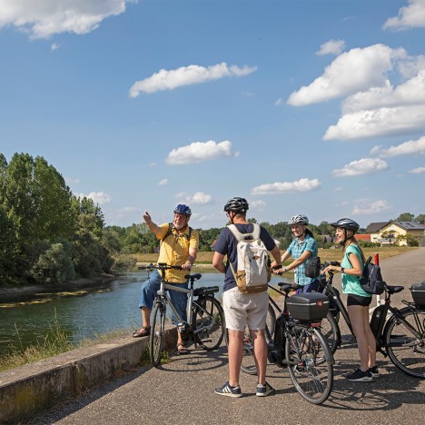 Groupe de cyclistes sur la digue du Rhin à Plittersdorf
