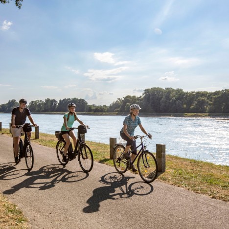 Deux femmes et un homme font du vélo sur les rives du Rhin un jour d'été.