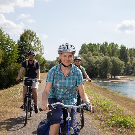 Fahrradfahrer auf dem Rheindamm bei Plittersdorf