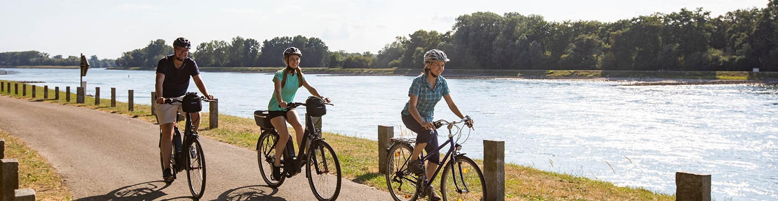 Radfahren am Rhein. Foto: Ulrike Klumpp Radfahren am Rhein