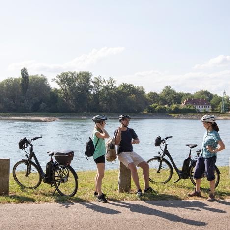 Radfahrer machen Pause am Rheinufer in Plittersdorf