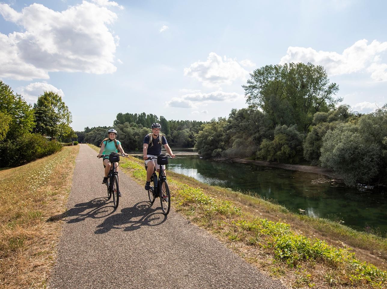 Cyclistes sur la digue du Rhin à Plittersdorf