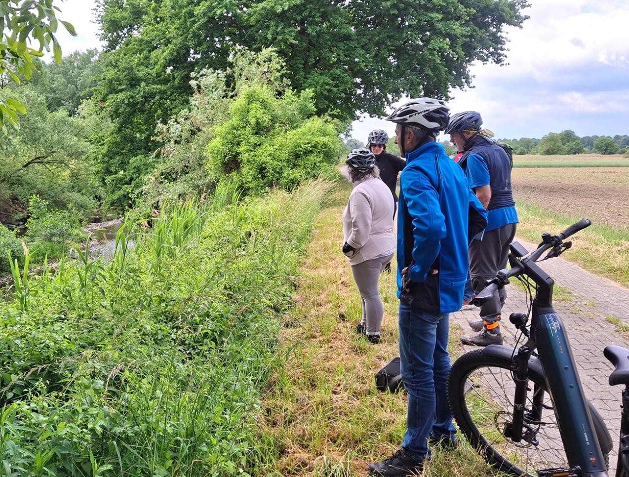 Radfahrer auf dem Rheindamm in Plittersdorf
