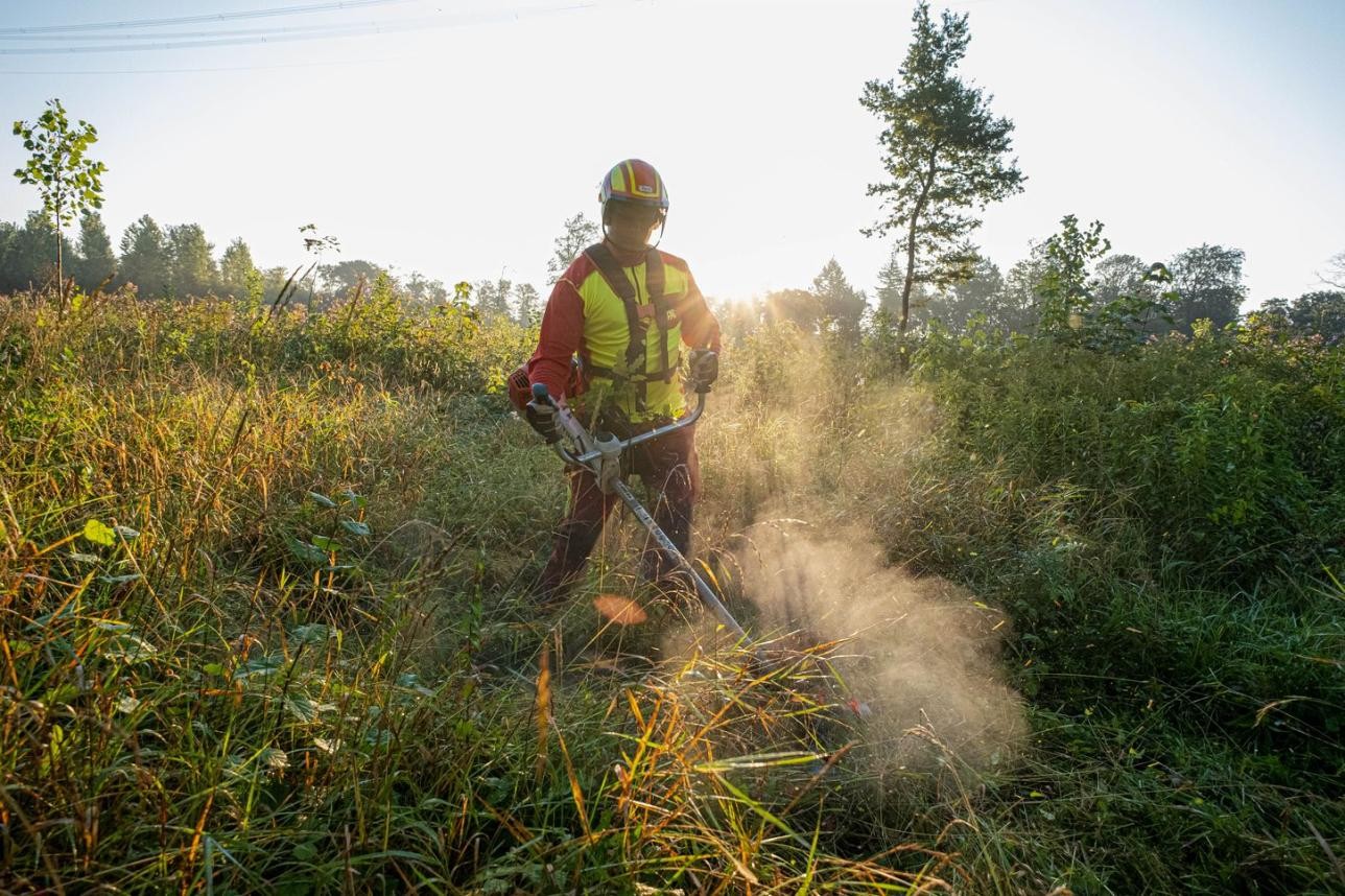 Beim Familientag im Rastatter Stadtwald geben Försterinnen und Förster Einblicke in ihre tägliche Arbeit und zeigen, wie der Wald gepflegt, bewirtschaftet und zugleich auf die Herausforderungen des Klimawandels vorbereitet wird. Foto: Oliver Hurst Mann auf Feld