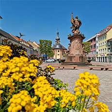 Gelbe Blumen im Blumenkübel vor dem Bernhardusbrunnen in Rastatt